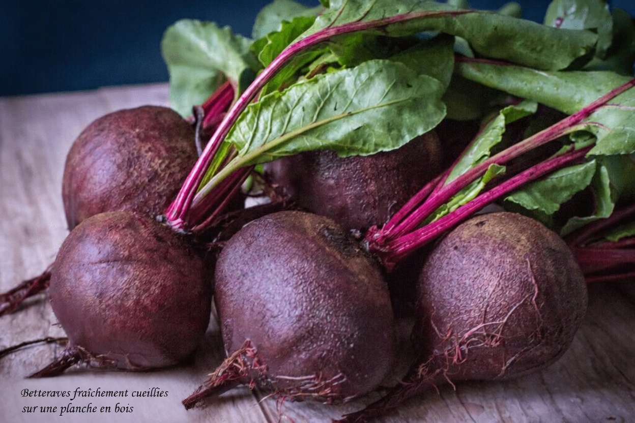 12 aliments naturels puissants à inclure dans votre routine quotidienne après 50 ans
