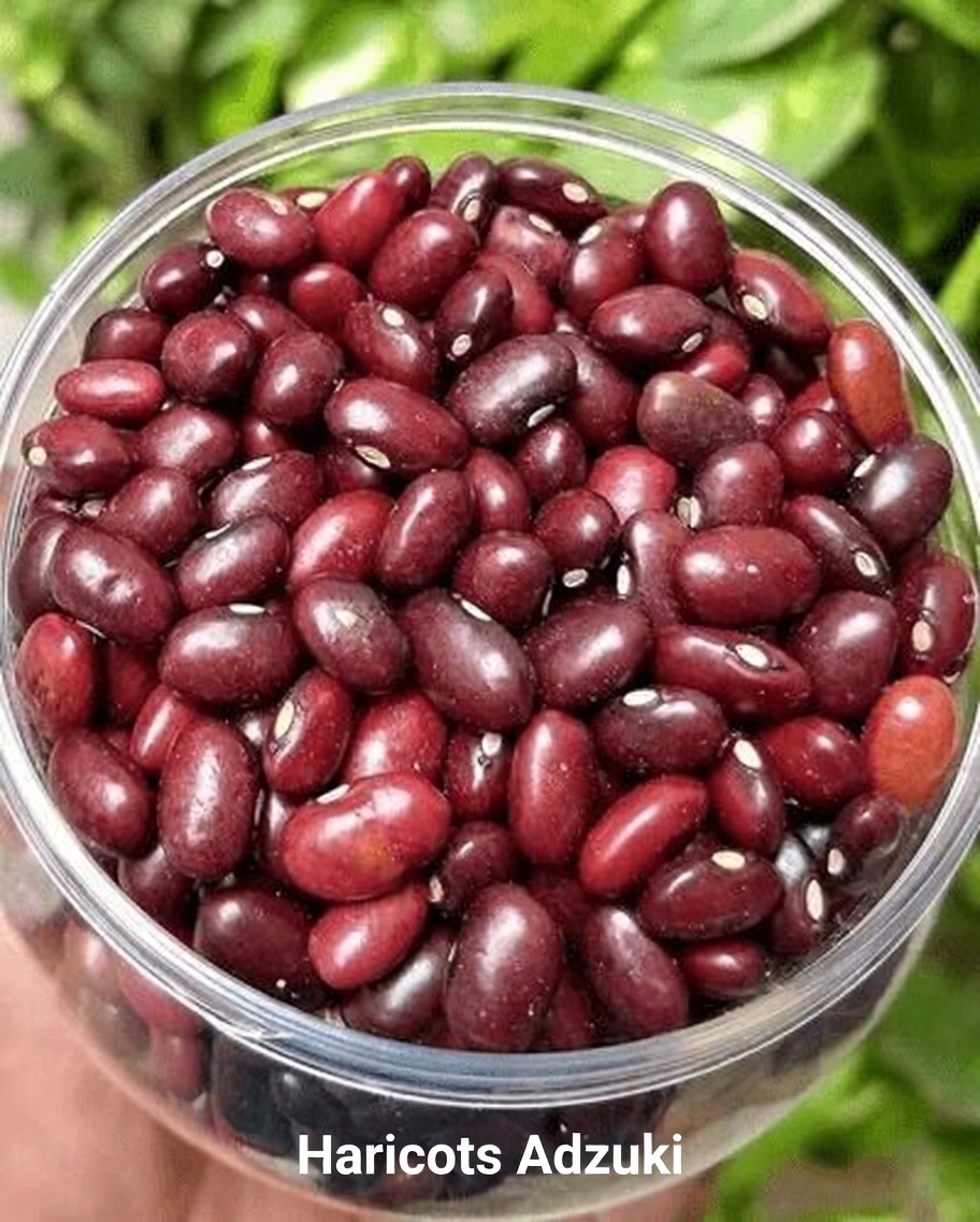 12 aliments naturels puissants à inclure dans votre routine quotidienne après 50 ans