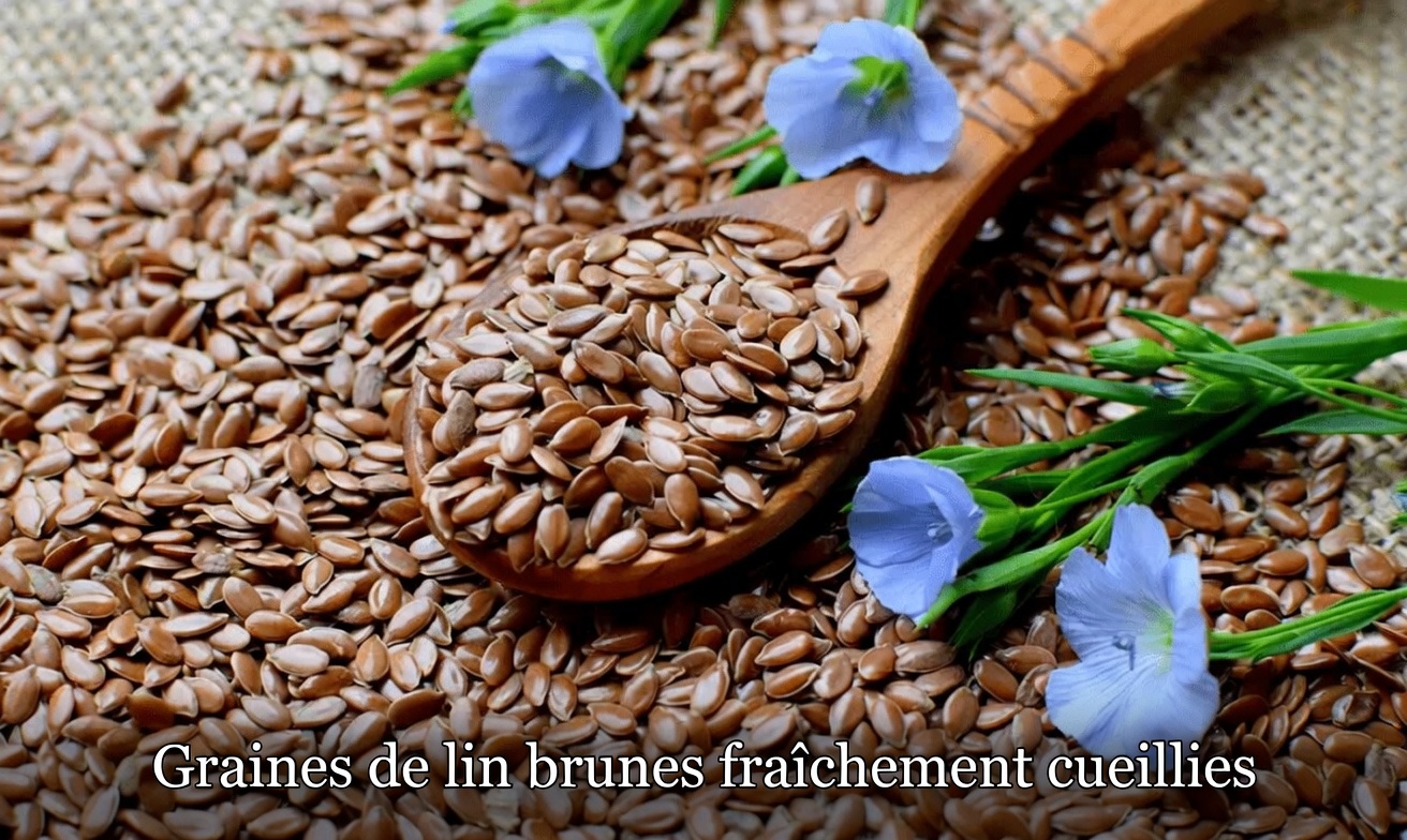 Même après 90 ans ? Mangez ces 3 graines chaque matin pour soutenir la santé de vos yeux et de votre cerveau