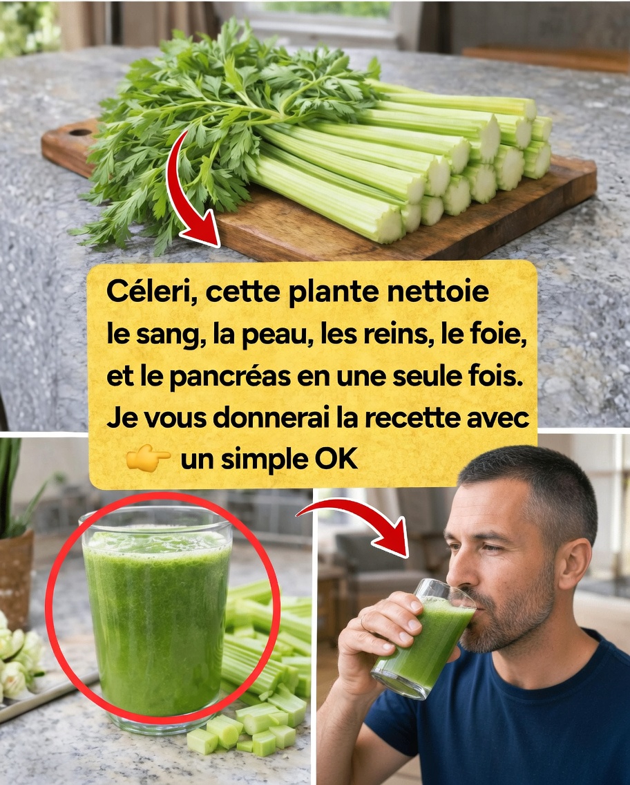 Libérez le pouvoir nutritionnel du céleri avec cette recette facile de jus maison pour un bien-être au quotidien