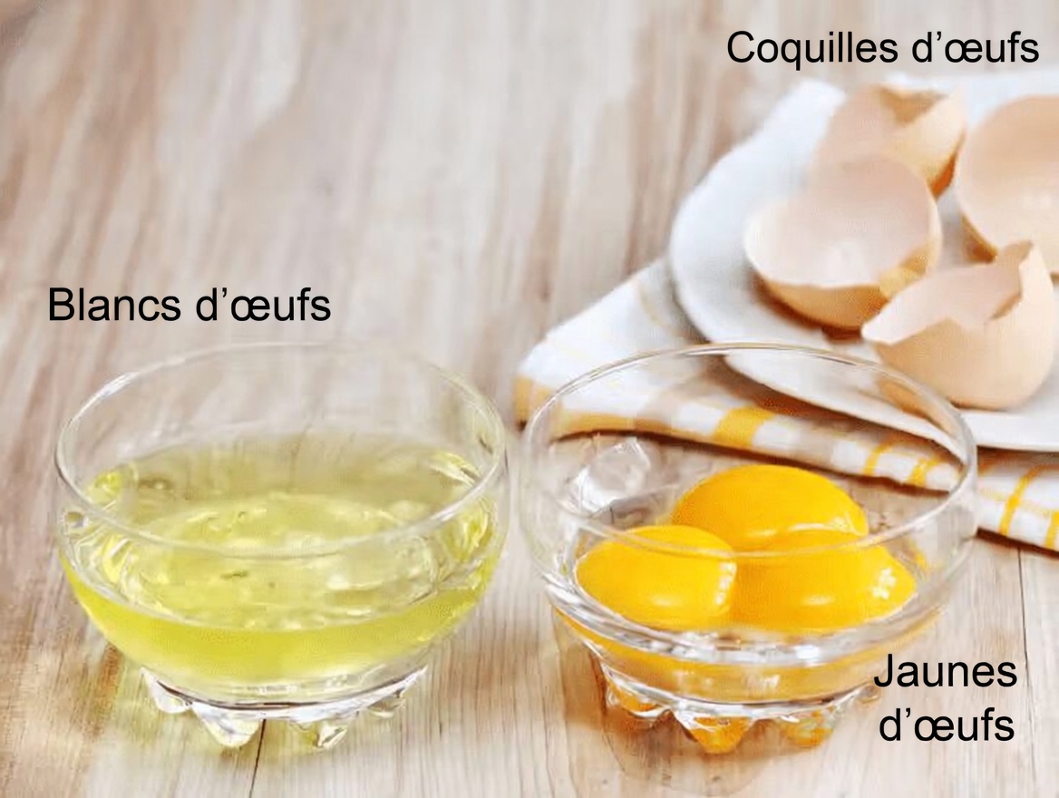 Découvrez 4 protéines bénéfiques pour les reins à inclure dans votre alimentation et 6 à limiter pour une meilleure santé rénale