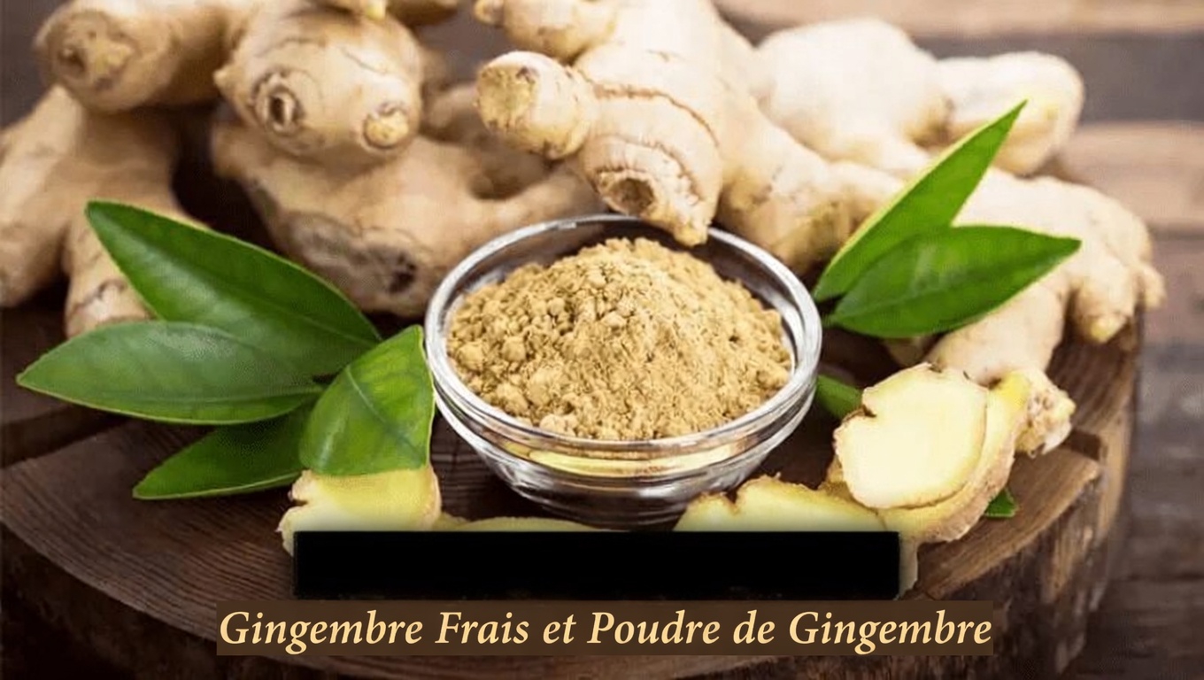 Quelles sont les 3 meilleures plantes naturelles pour favoriser une bonne circulation sanguine et des jambes confortables au quotidien ?