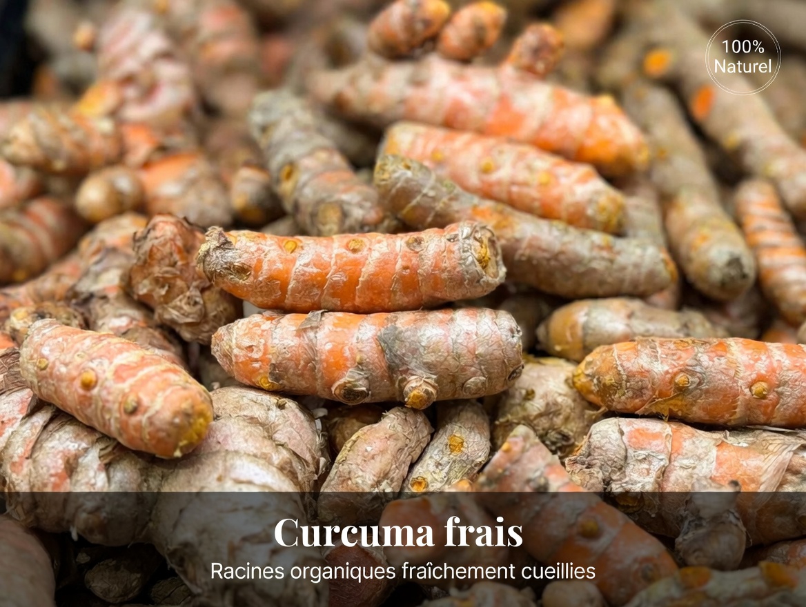 Quelles sont les 3 meilleures plantes naturelles pour favoriser une bonne circulation sanguine et des jambes confortables au quotidien ?