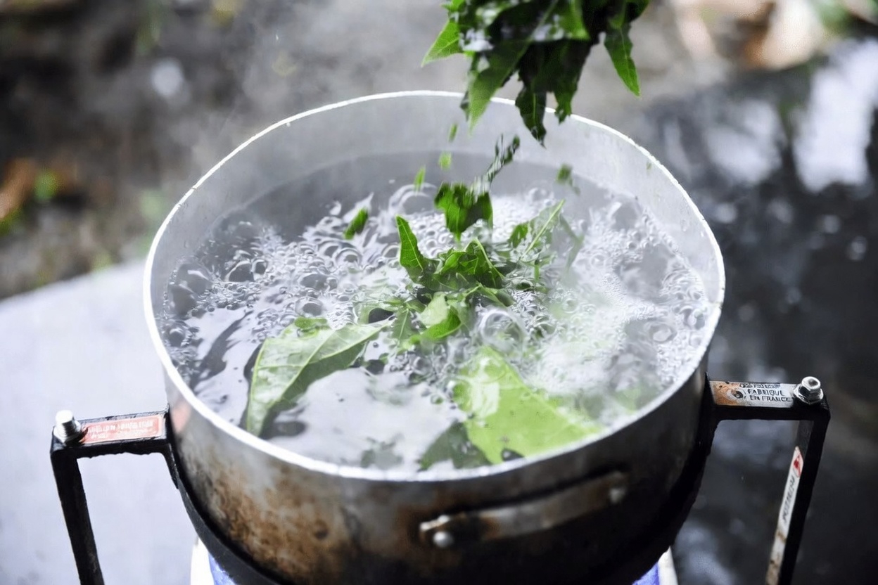 Découvrez comment préparer du thé aux feuilles de papaye à la maison : conseils simples pour votre routine bien-être quotidienne