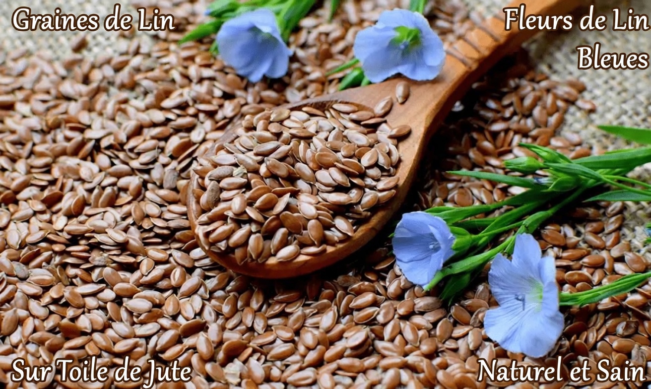 Même après 90 ans ? Mangez ces 3 graines chaque matin pour soutenir la santé de vos yeux et de votre cerveau