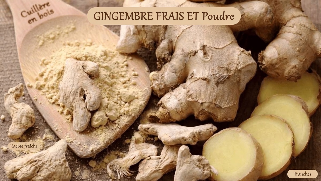 Découvrez 6 situations de santé où il est judicieux de discuter de votre consommation de gingembre avec un professionnel de santé