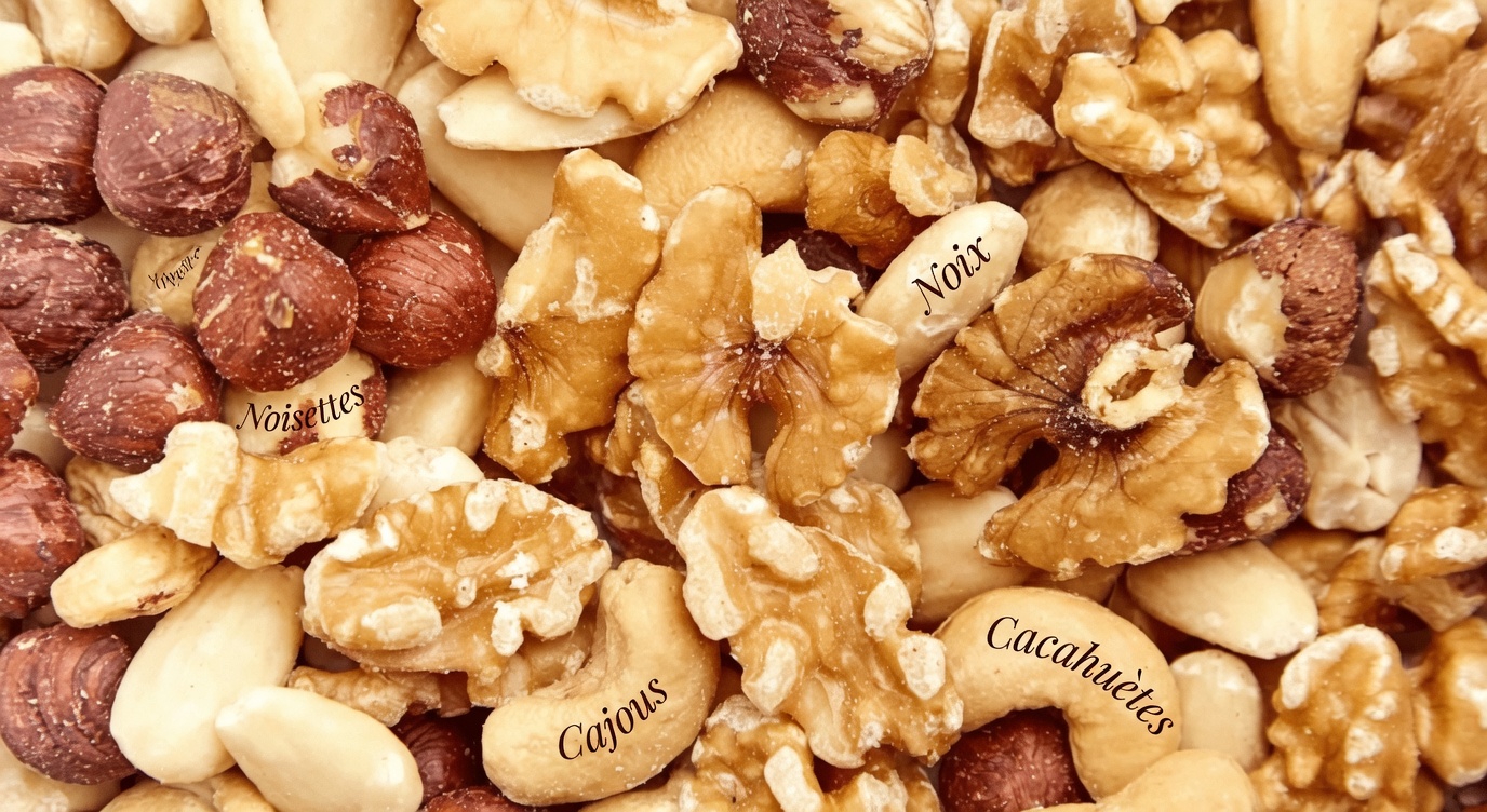 Quels sont les meilleurs aliments naturels à manger chaque jour après 50 ans pour avoir plus d’énergie et de vitalité ?