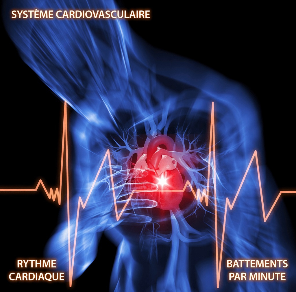 Ces habitudes quotidiennes pour la santé cardiaque jouent-elles secrètement contre vous ?