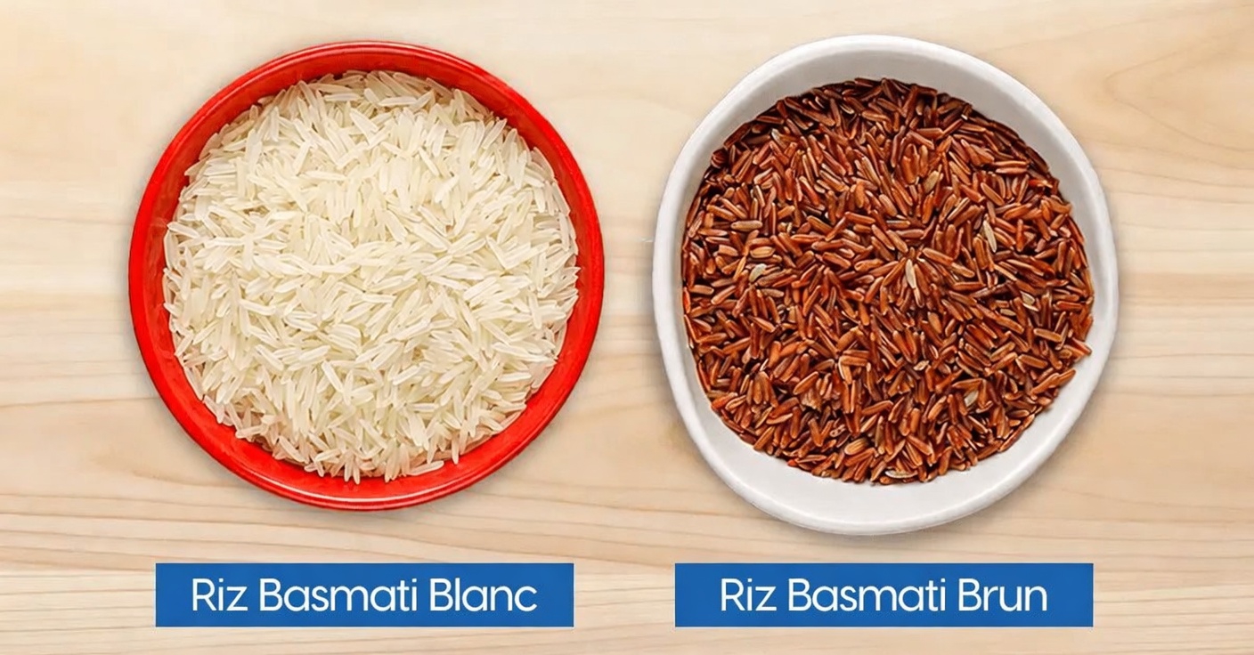 Découvrez les 3 meilleurs types de riz adaptés à une alimentation favorable aux reins