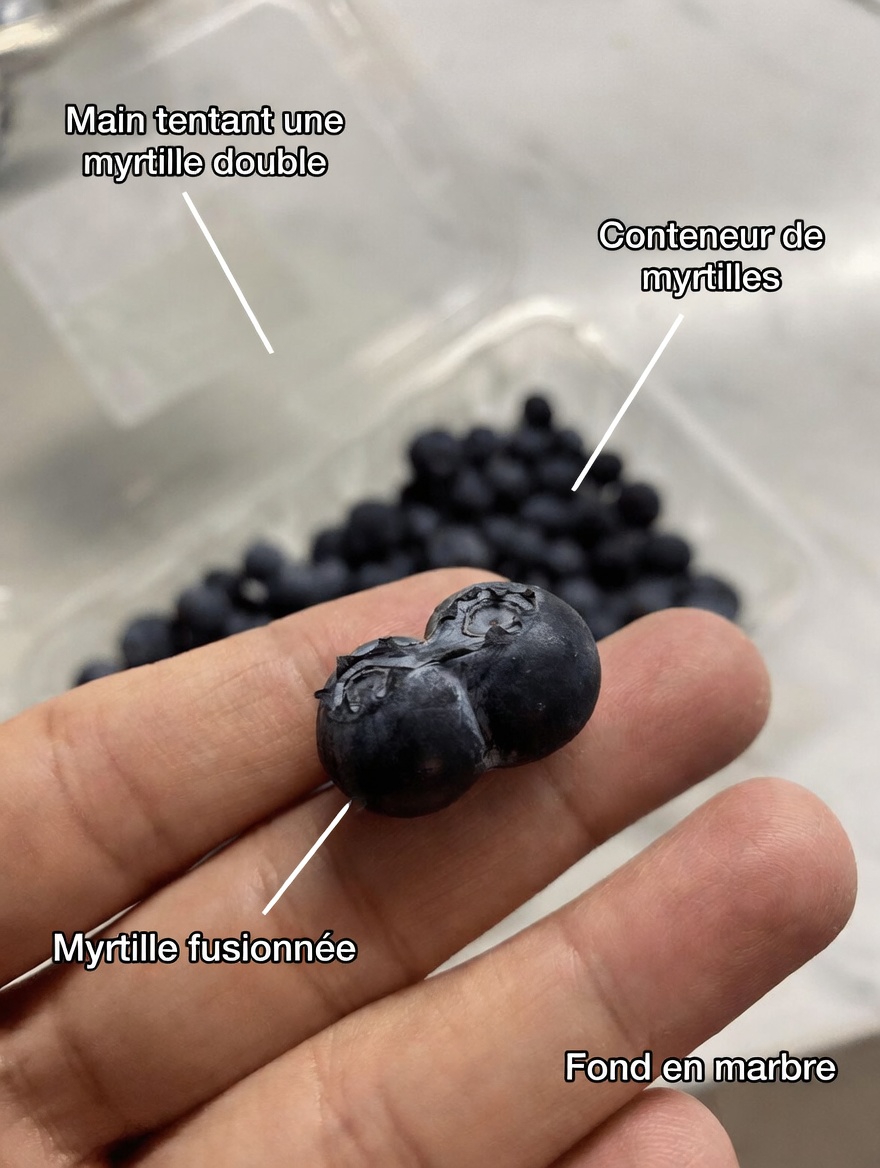 Les caillots sanguins vous inquiètent ? Ces 8 fruits sont les alliés naturels de votre corps pour gérer les caillots sanguins !