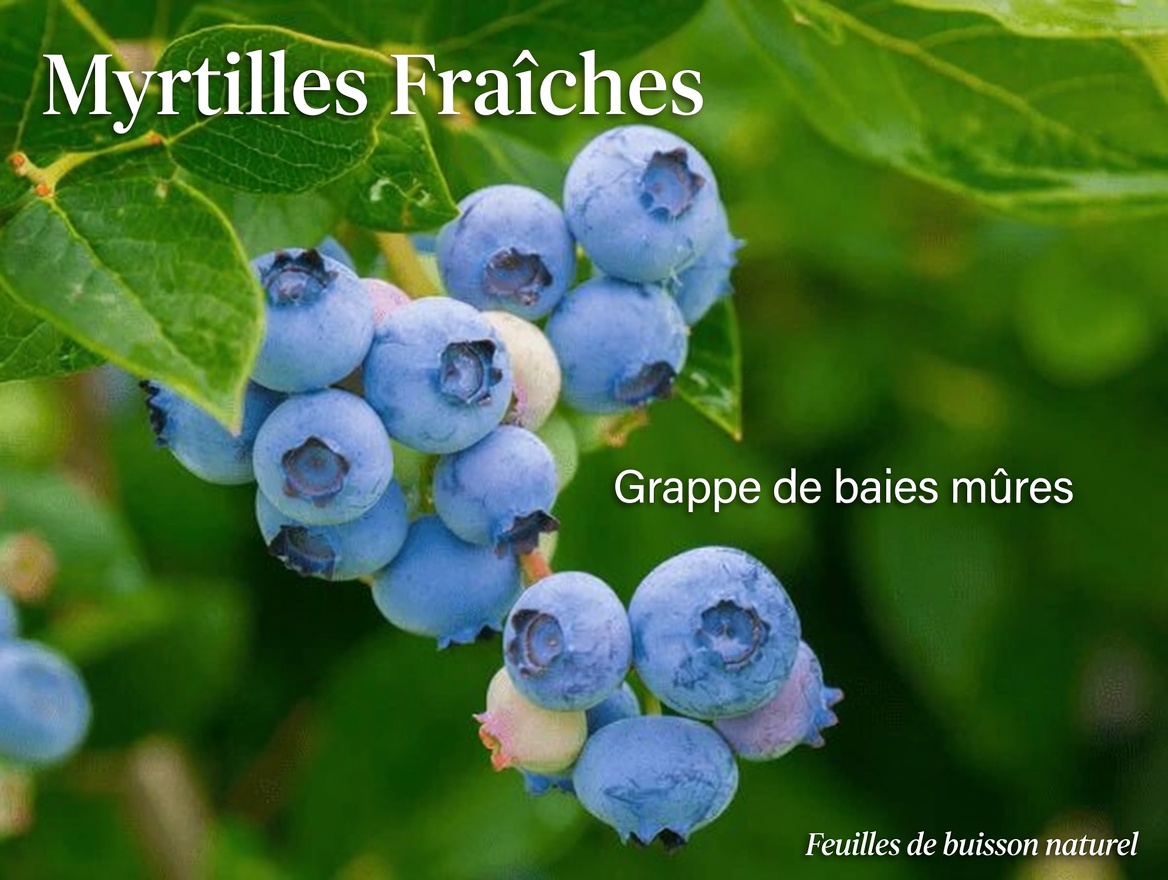 Les 4 meilleurs fruits qui aident à soutenir la détox naturelle de vos reins pendant que vous dormez