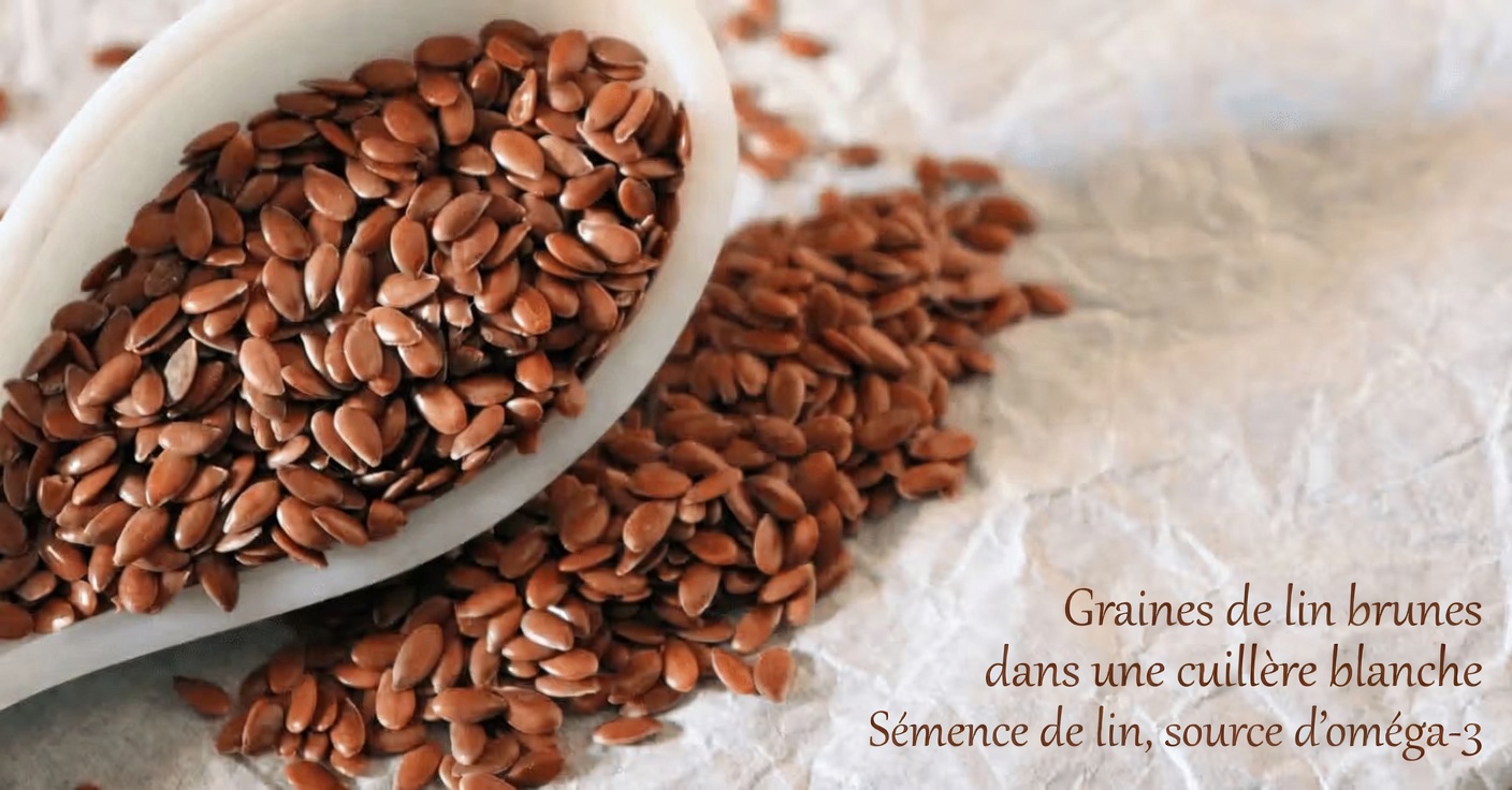 6 graines riches en nutriments que les seniors peuvent intégrer quotidiennement à leurs repas pour améliorer leur bien-être et leur vitalité