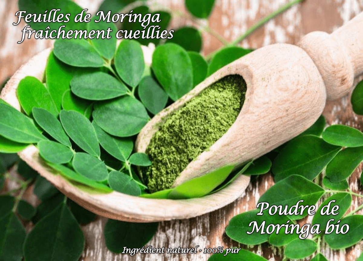 12 bienfaits surprenants des graines de moringa et des habitudes simples pour les intégrer à votre routine quotidienne de bien-être