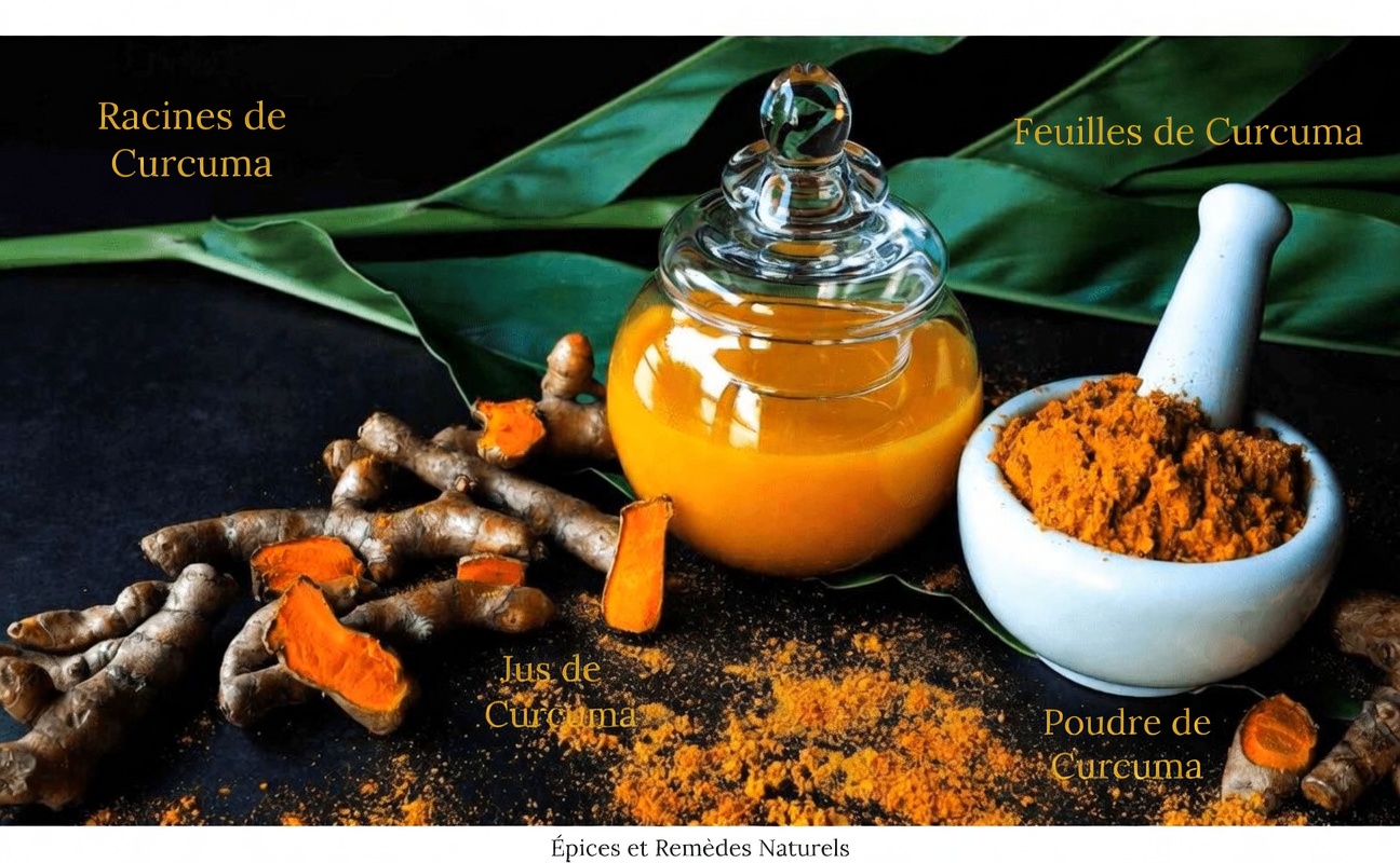 Découvrez 5 plantes puissantes qui peuvent naturellement favoriser une bonne circulation sanguine dans vos jambes