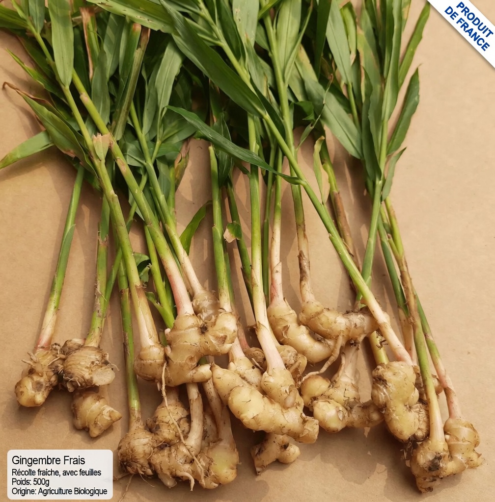 Découvrez 5 plantes puissantes qui peuvent naturellement favoriser une bonne circulation sanguine dans vos jambes