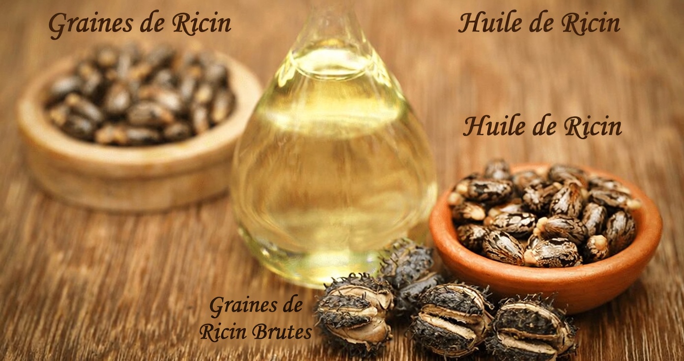 Pourquoi les femmes de plus de 50 ans redécouvrent l’ancienne tradition de 2 gouttes d’huile de ricin sur du miel