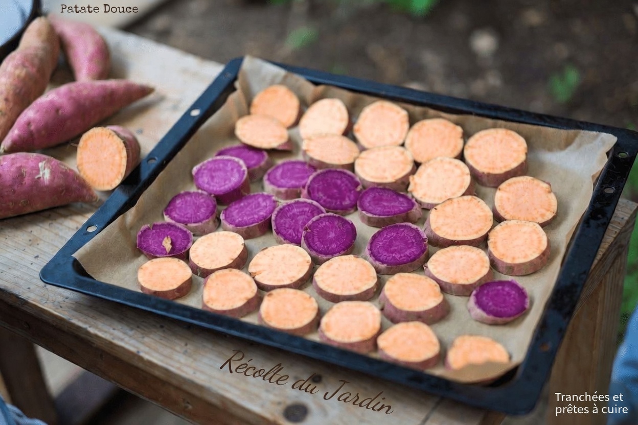 Pourquoi vous devriez ajouter les patates douces à votre routine quotidienne : 10 façons surprenantes dont ce légume-racine soutient votre bien-être