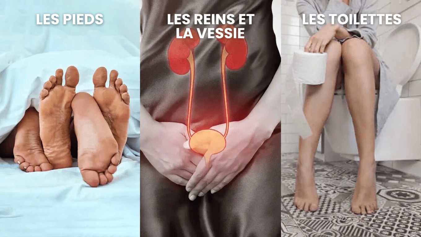 Pourquoi uriner après un rapport sexuel est une habitude simple qui favorise la santé de vos voies urinaires