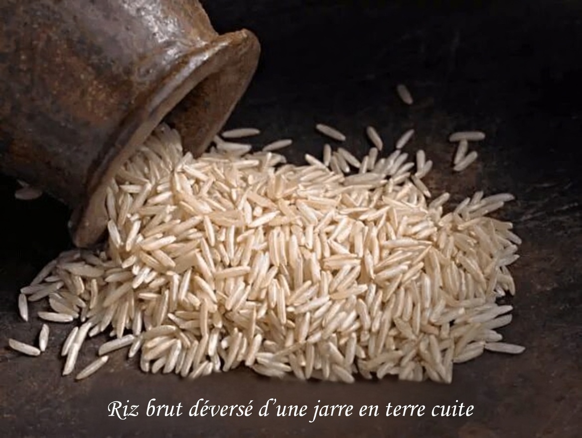 Découvrez les 3 meilleures variétés de riz que vous pouvez manger quotidiennement pour soutenir naturellement la santé des reins