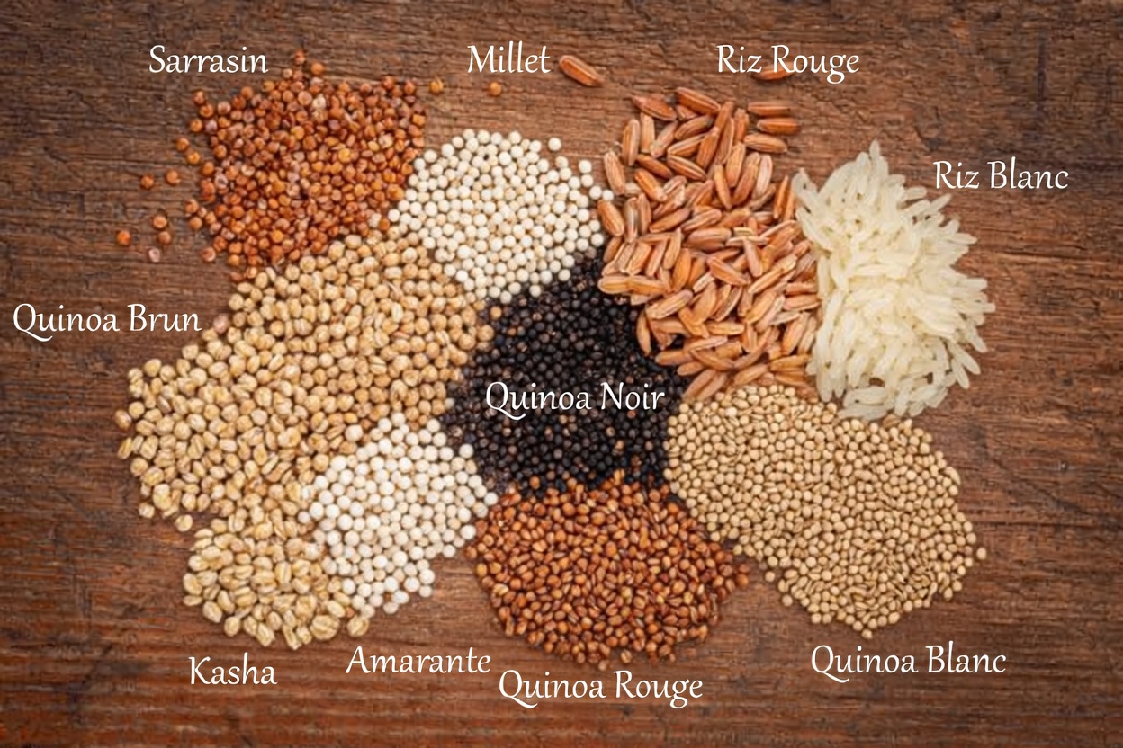 Découvrez 9 aliments du quotidien qui pourraient soutenir naturellement le processus d’autophagie de votre corps – éclairages issus de recherches récompensées par le prix Nobel