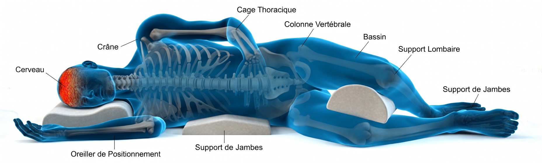 Comment votre position de sommeil peut favoriser le processus naturel de nettoyage nocturne de votre cerveau : 8 habitudes à explorer