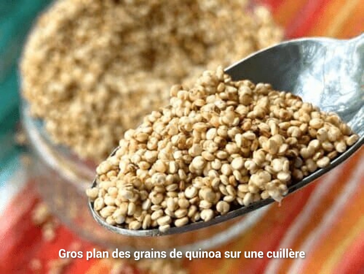 7 aliments du quotidien qui aident à soutenir la force musculaire et la vitalité après 60 ans : votre guide complet