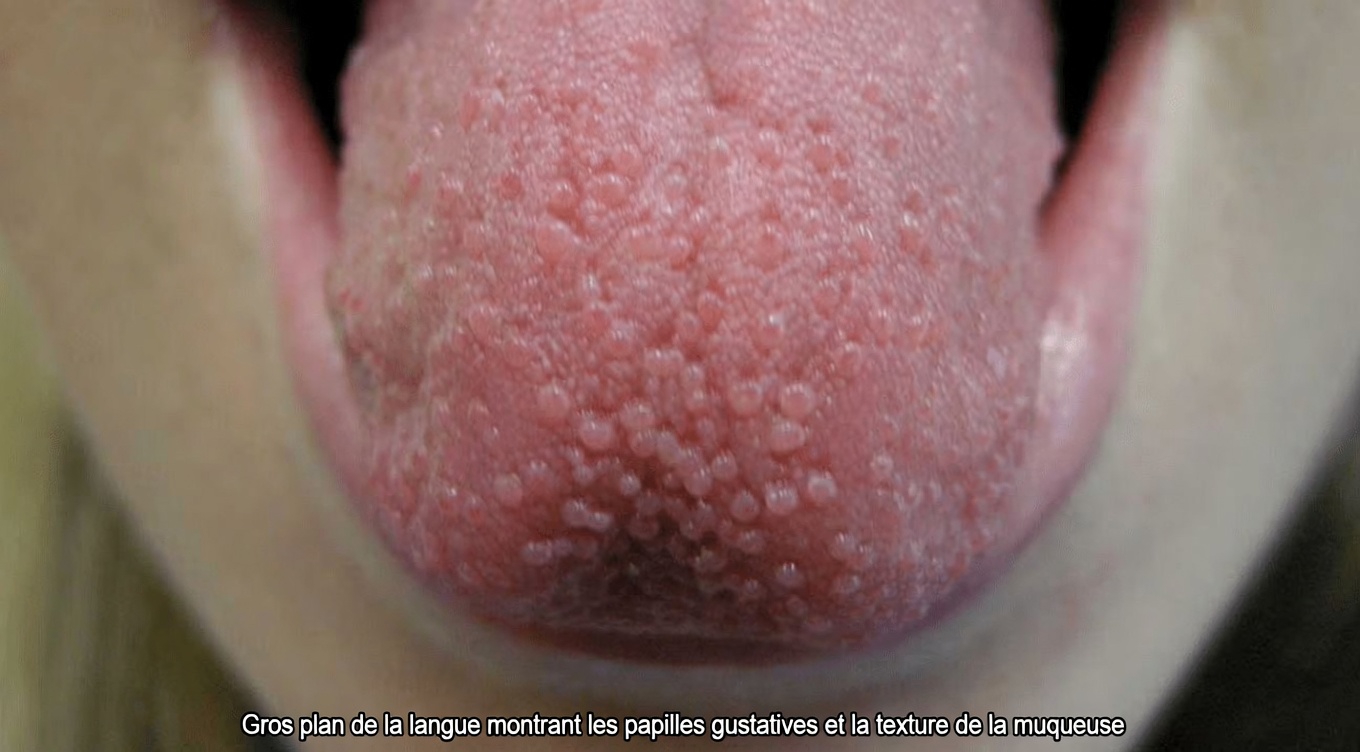 8 signes que votre corps appelle à l’aide et des moyens simples de le soutenir naturellement