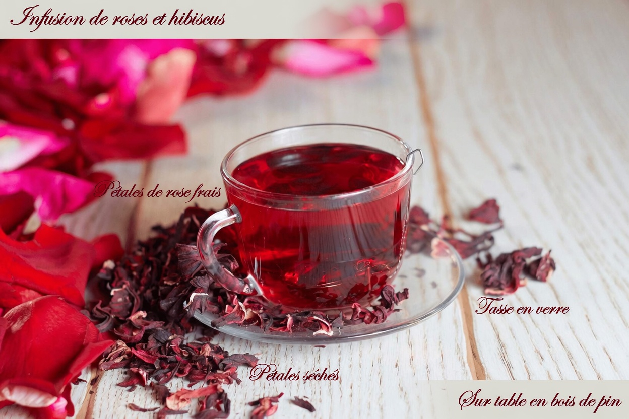 Découvrez 12 boissons matinales rafraîchissantes que les seniors peuvent savourer pour soutenir naturellement la santé rénale chaque jour