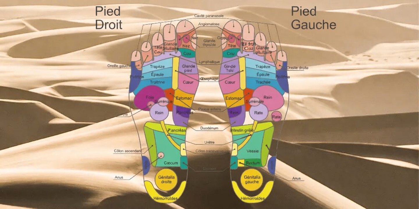 Découvrez votre carte de réflexologie plantaire et les façons surprenantes dont elle se connecte à l’ensemble de votre corps