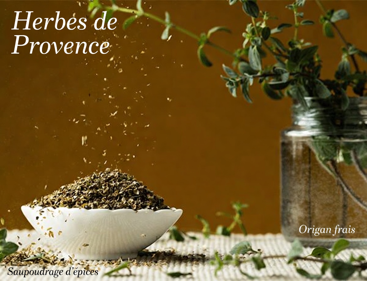 L’origan pour le bien-être des yeux : découvrez comment cette herbe de cuisine peut soutenir votre routine quotidienne de soin de la vision