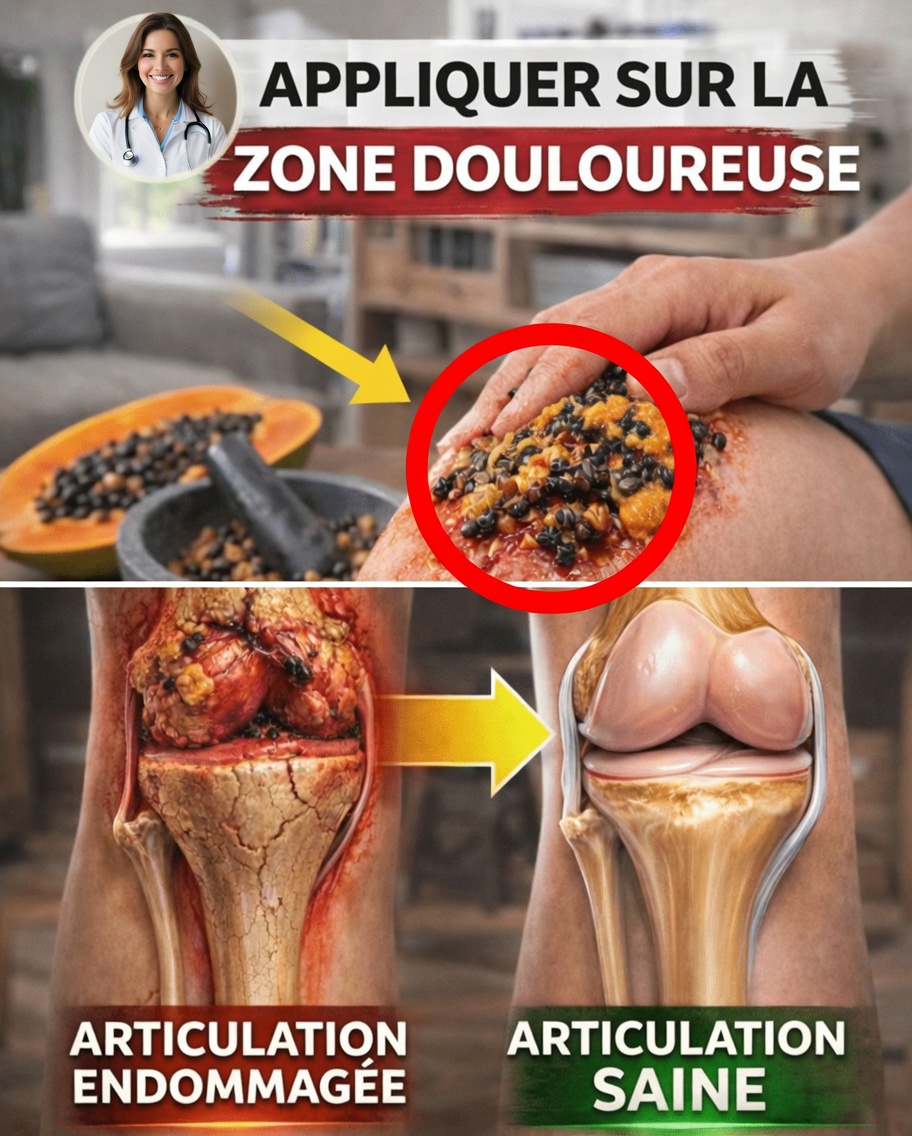 Comment les graines de papaye peuvent favoriser le confort articulaire : un remède maison simple contre l’inconfort des genoux, du dos et de la colonne vertébrale