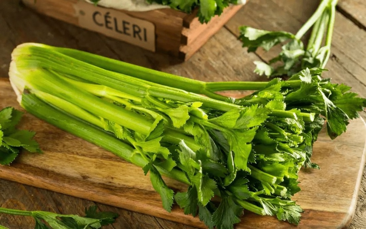 Les 7 superaliments que le Dr Norman Walker consommait chaque jour dans sa célèbre routine de jus à l’âge de 99 ans