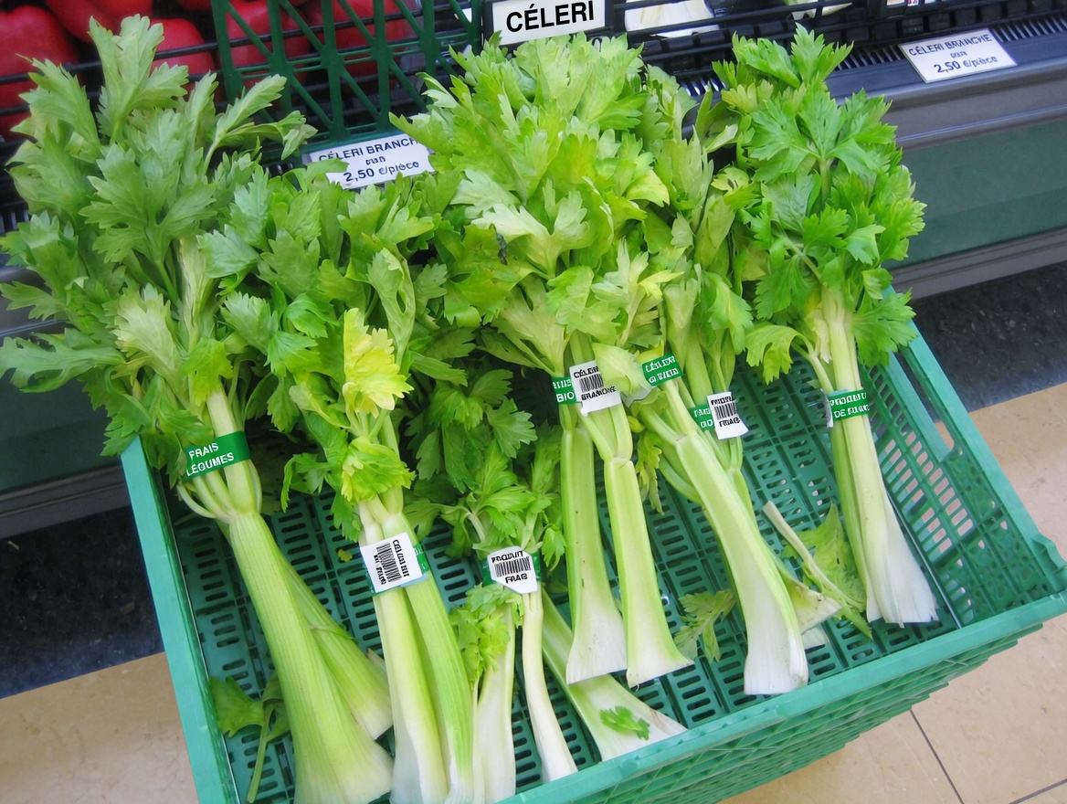 Les seniors découvrent les 7 aliments que le Dr Norman Walker incluait chaque jour dans sa routine pour bien vieillir