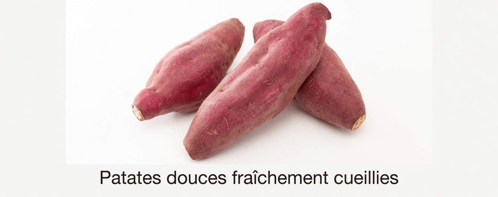 12 aliments naturels à consommer chaque jour après 50 ans pour soutenir votre énergie et votre bien-être général