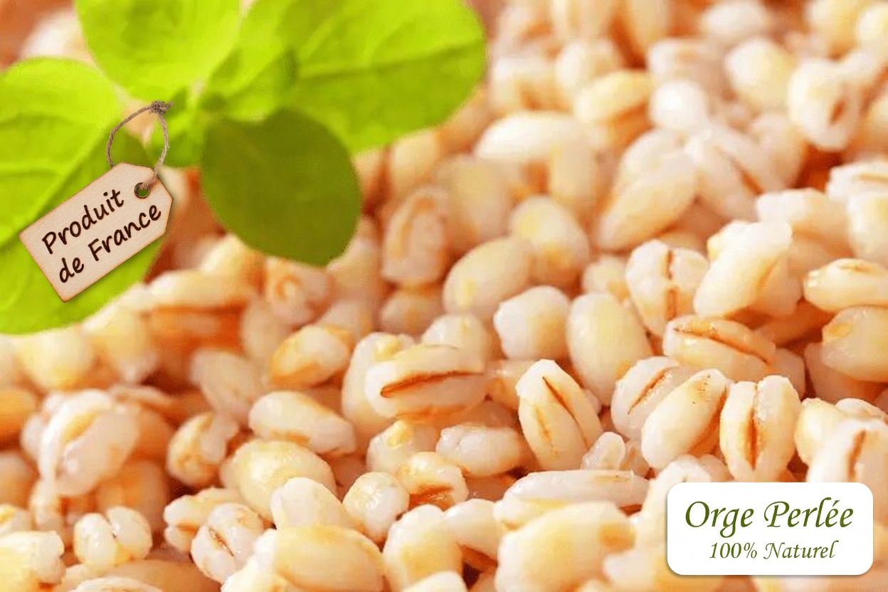 Qu’est-ce que l’orge et pourquoi tout cet engouement ?