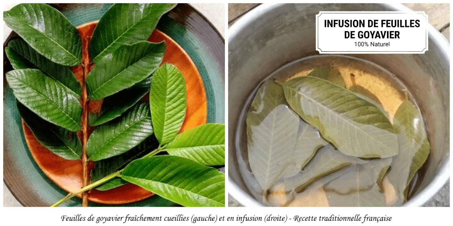 3 feuilles courantes que vous avez chez vous et qui peuvent aider à soutenir naturellement votre foie et votre fonction biliaire