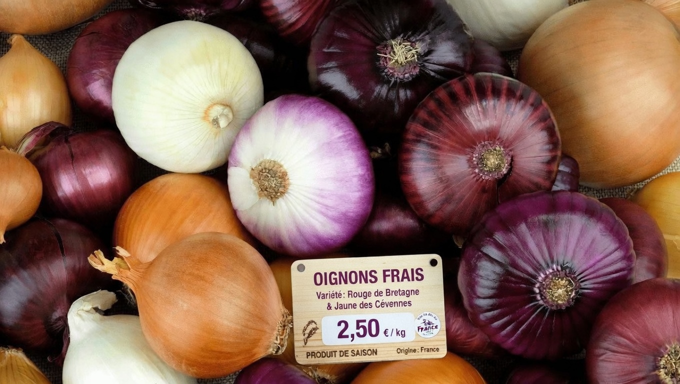 Découvrez les 5 meilleurs légumes à intégrer à votre routine pour favoriser naturellement des taux de créatinine sains et le bon fonctionnement des reins