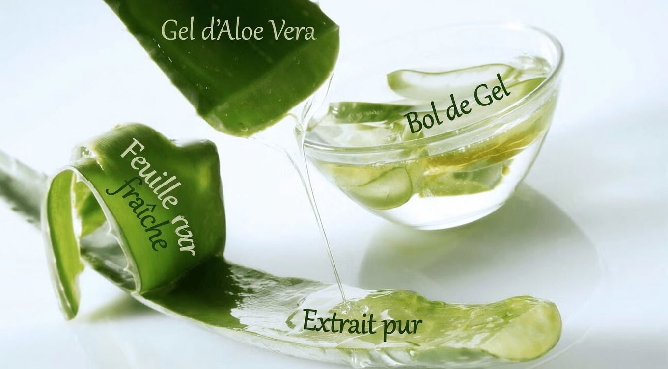 Comment faire de l’huile d’aloe vera à la maison : un guide DIY étape par étape pour votre routine capillaire
