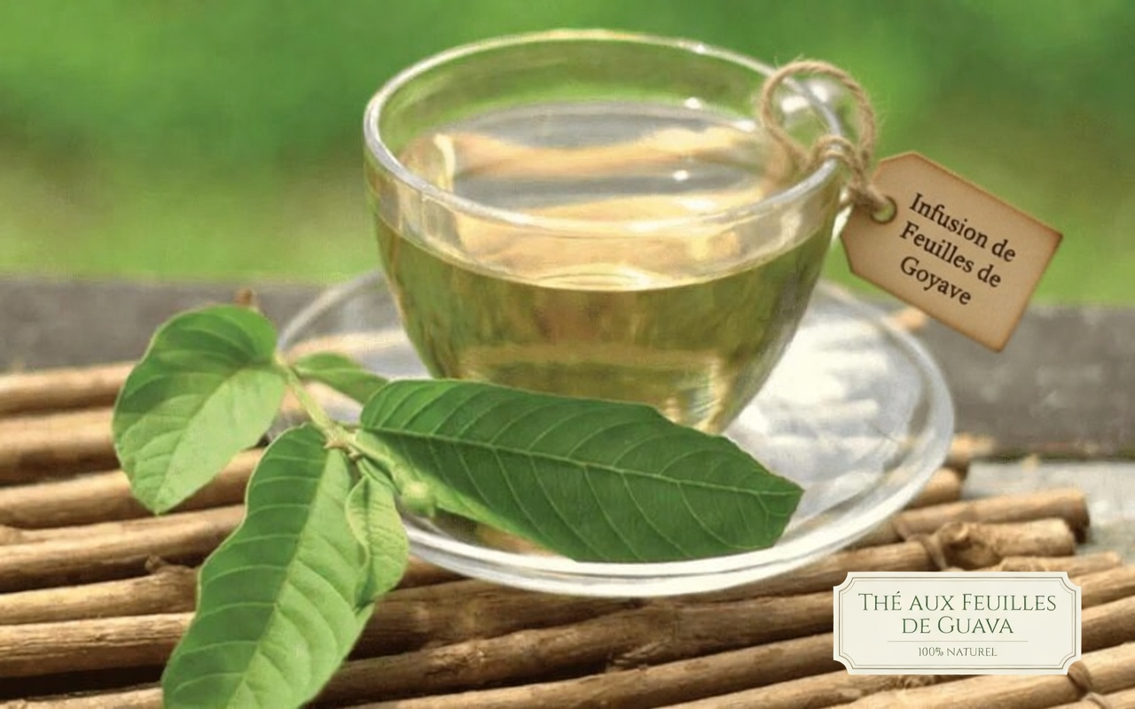 Découvrez comment les feuilles de goyavier peuvent favoriser le confort articulaire, la santé osseuse et aider à réduire naturellement le gonflement des jambes