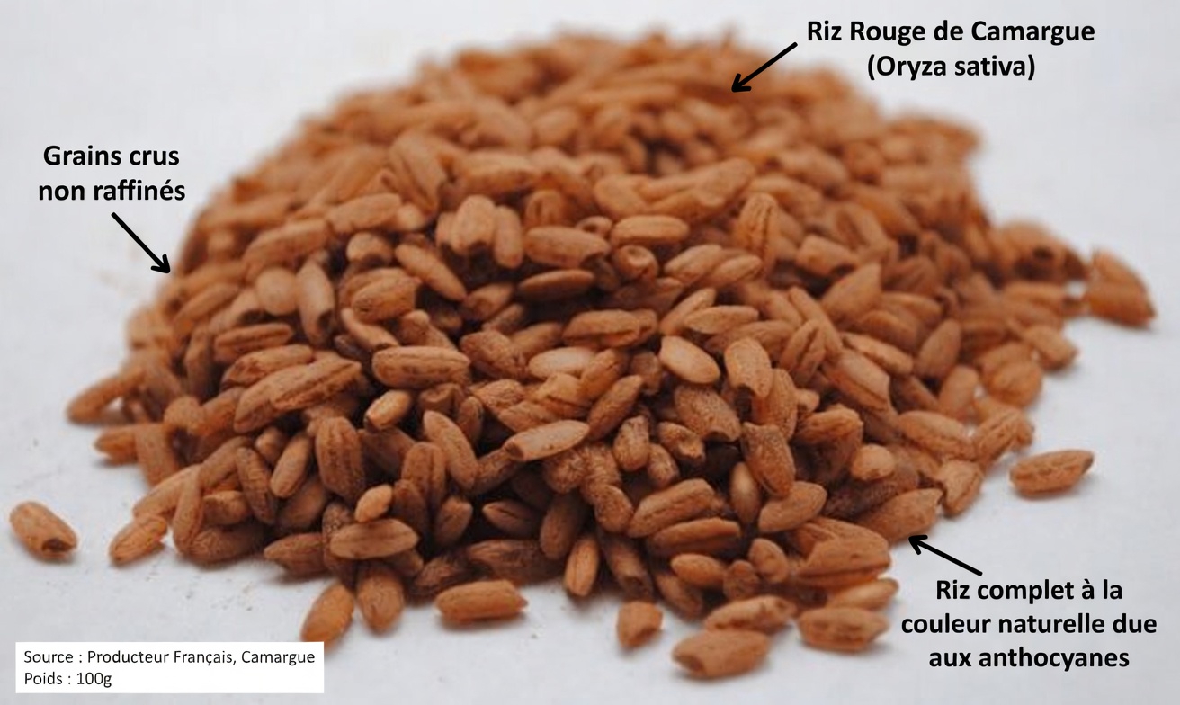 Les 3 meilleurs types de riz parfaitement adaptés à une alimentation favorable aux reins : choix simples et conseils de préparation