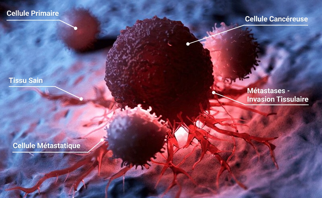 Pourquoi le fenbendazole fait tendance dans les conversations sur le cancer : ce que la série de cas rétractée et les experts veulent que vous sachiez