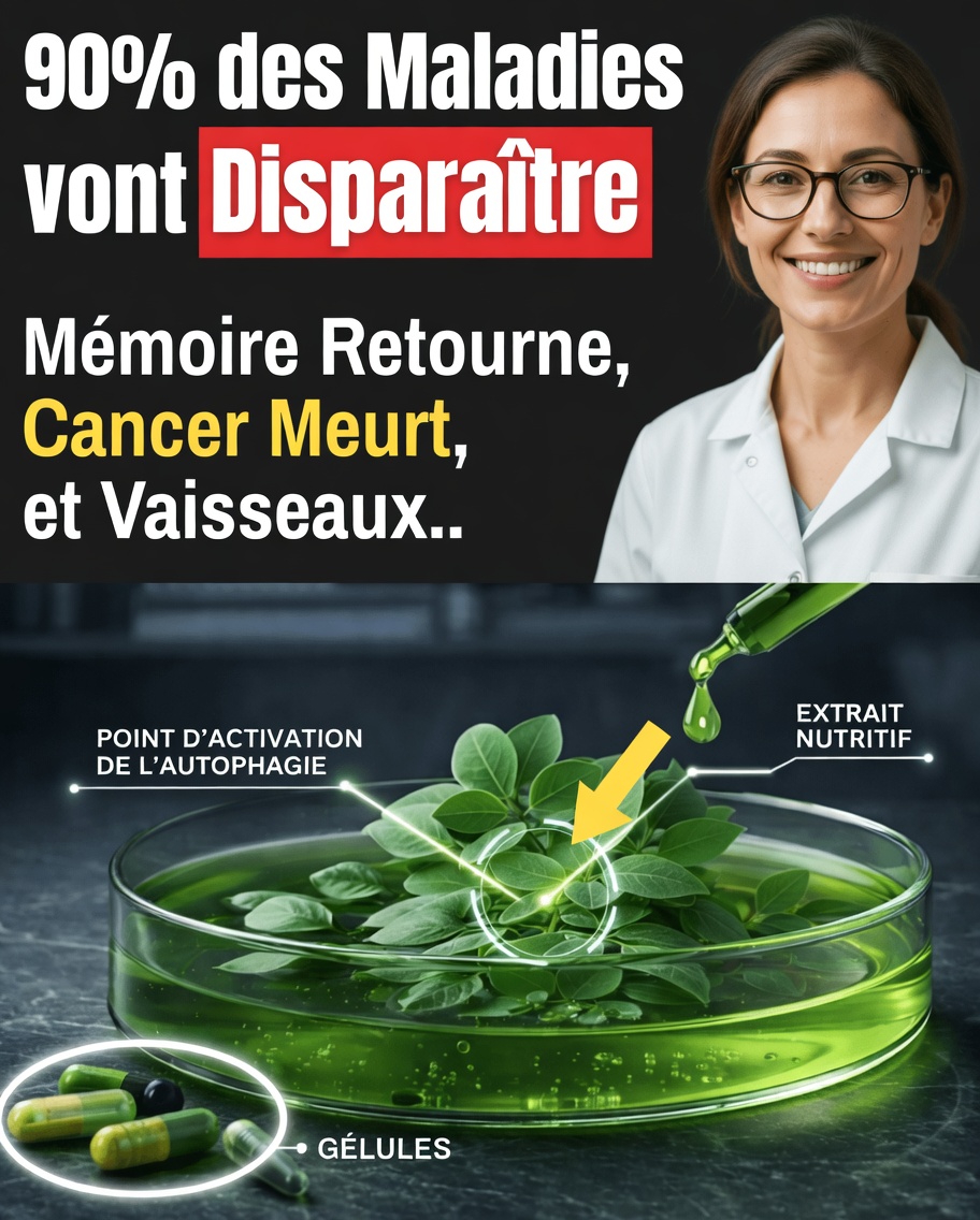 Le rythme alimentaire quotidien que suivent les centenaires japonais pour vieillir en meilleure forme et rester plus autonomes