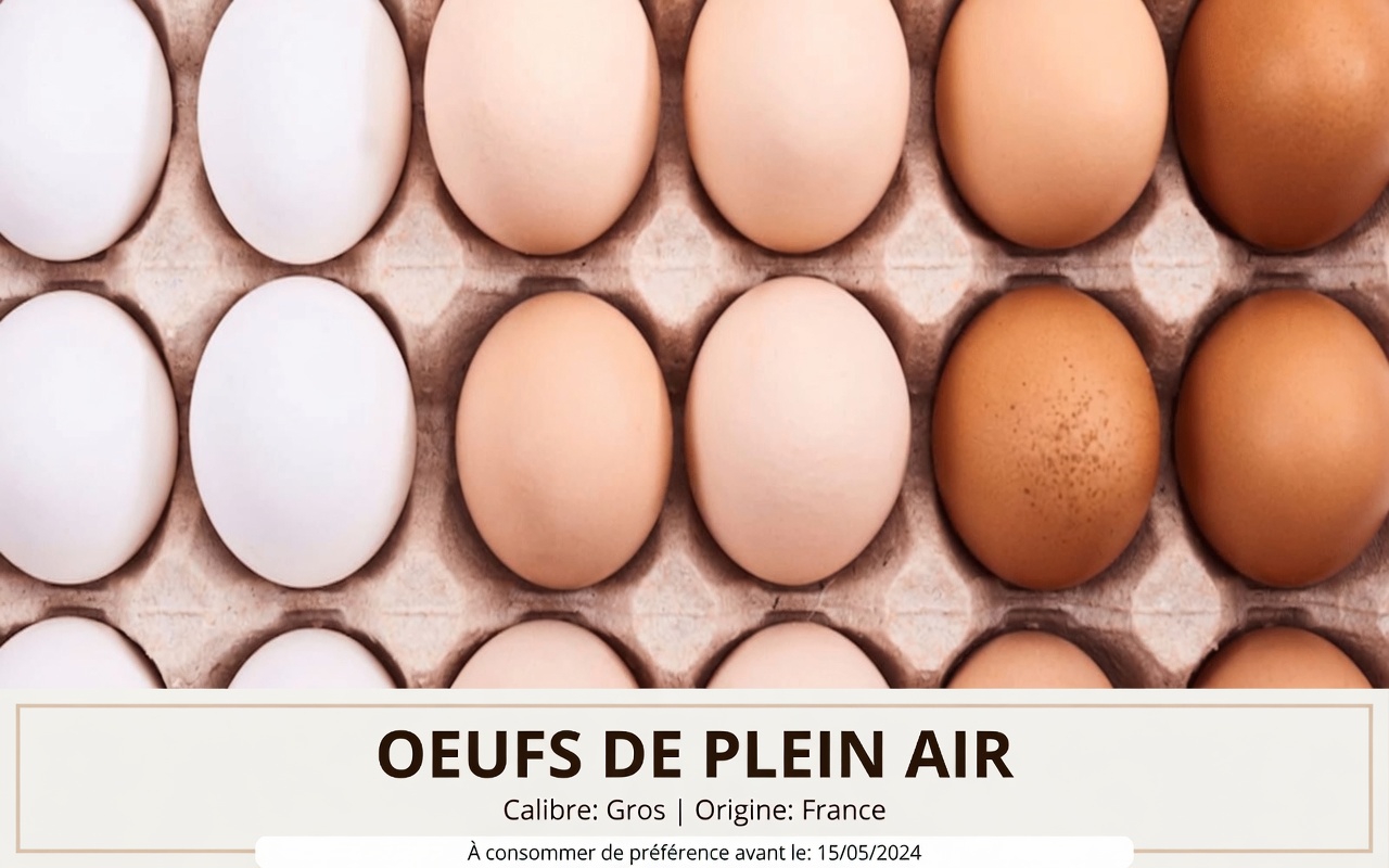 4 protéines à inclure dans une alimentation bonne pour les reins et 6 à limiter soigneusement pour une meilleure prise en charge