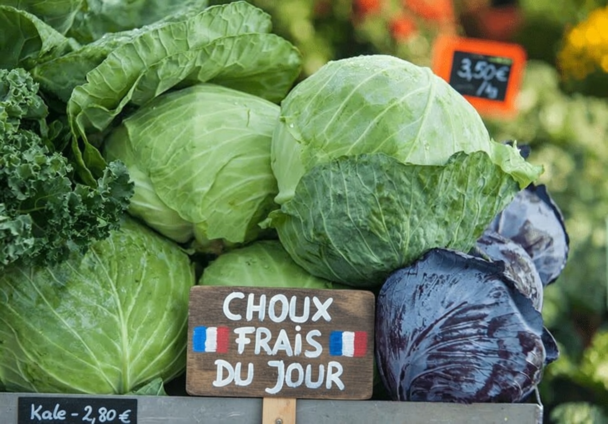 Découvrez ces 12 superaliments qui peuvent aider à soutenir naturellement des niveaux sains de créatinine et le bien-être des reins