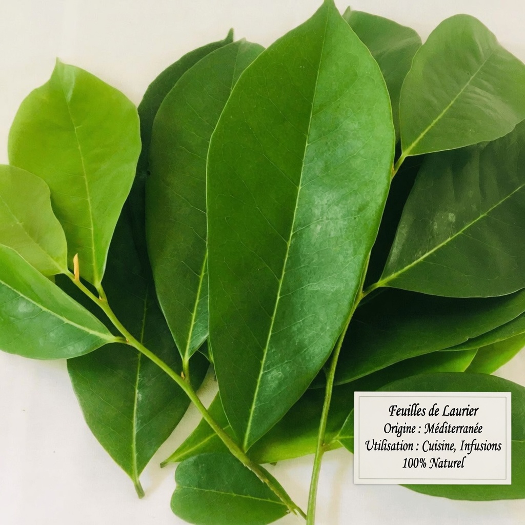 Comment les hommes peuvent soutenir naturellement la santé de la prostate grâce à de simples habitudes quotidiennes et à des remèdes traditionnels à base de plantes