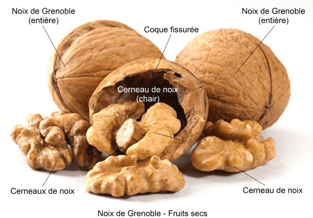 Découvrez les 3 fruits secs simples à consommer avant de dormir qui peuvent aider à réduire les épisodes de miction nocturne après 60 ans