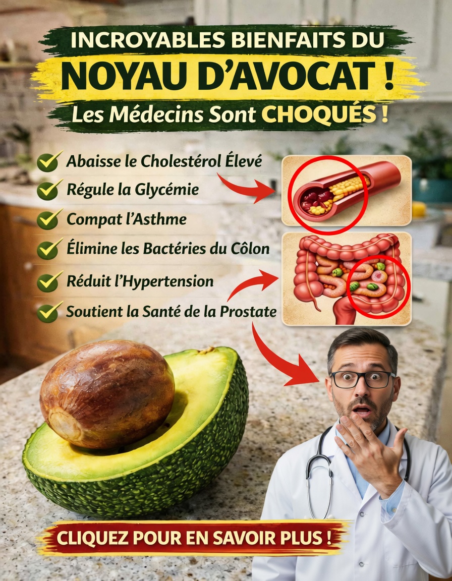 Arrêtez de jeter le noyau d’avocat : voici pourquoi il est plus puissant que vous ne le pensez