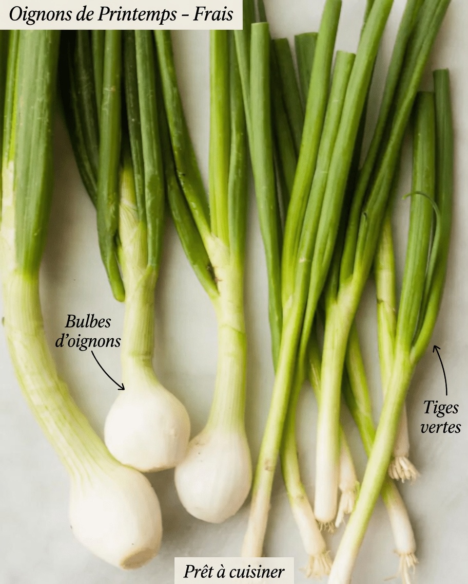 Découvrez les 10 meilleurs superaliments qui peuvent soutenir votre fonction rénale et favoriser naturellement une meilleure santé urinaire