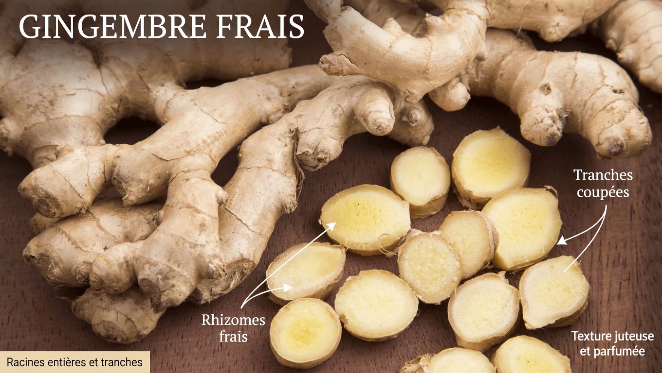 Découvrez 6 herbes puissantes qui peuvent soutenir naturellement votre santé et votre bien-être au quotidien