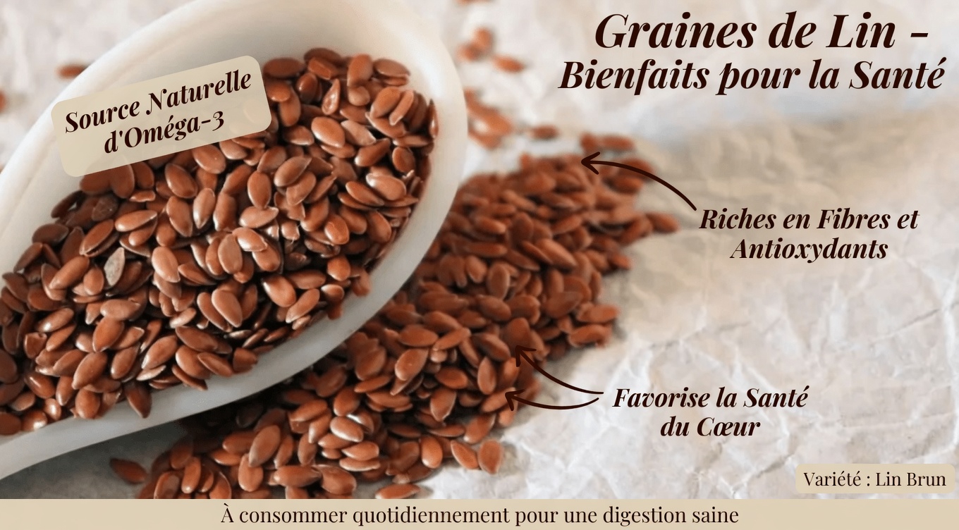 Découvrez le rôle des graines de chia, de lin et de courge dans le soutien naturel de la vision et de la santé de la rétine chez les seniors